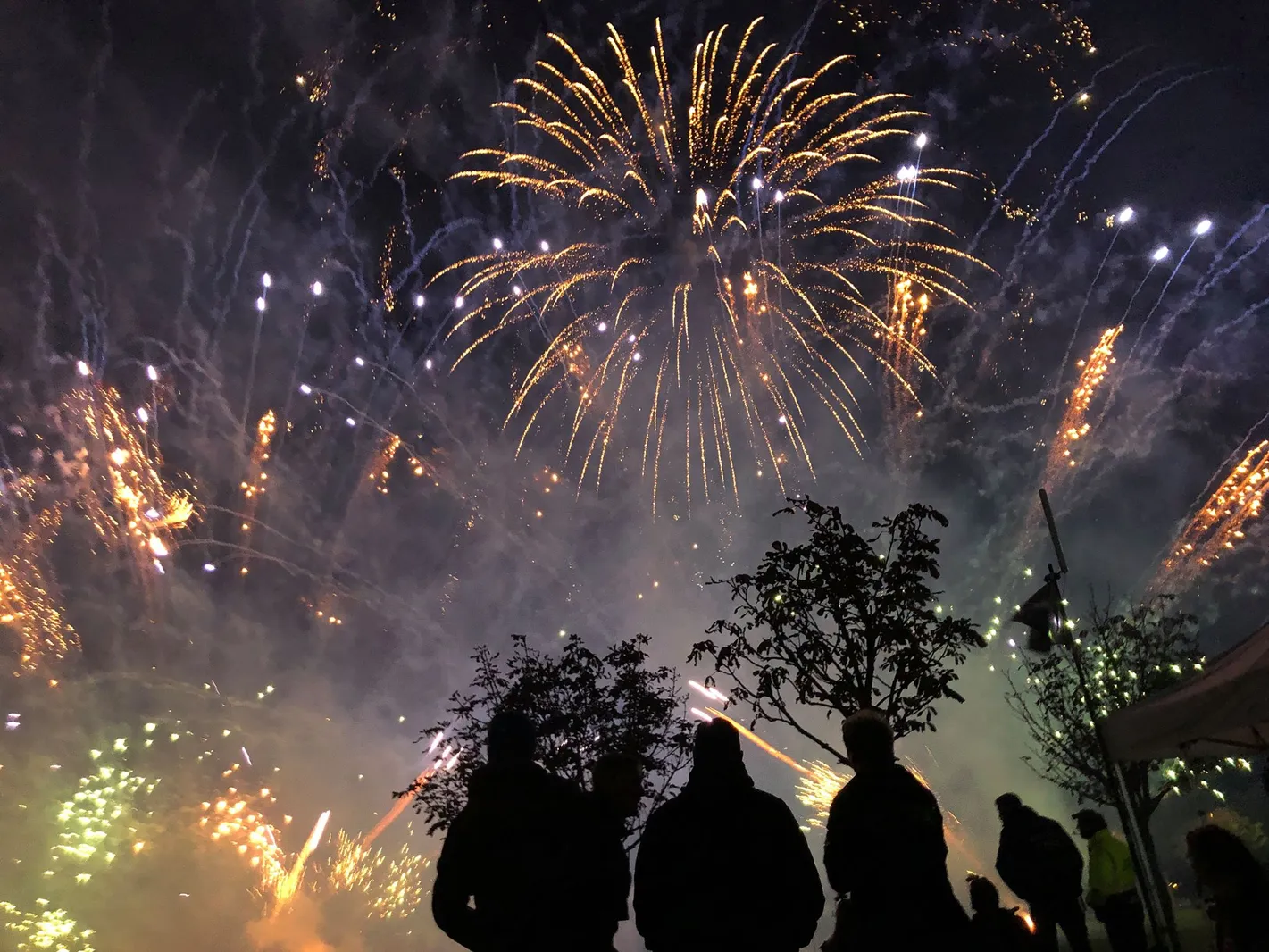 Golden willow finale